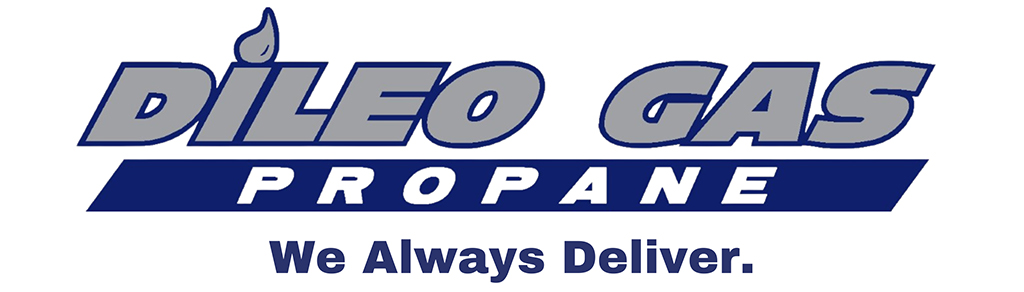 DILEO GAS PROPANE LLC logo