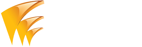 DILIGENT GLOBAL TECH INC logo