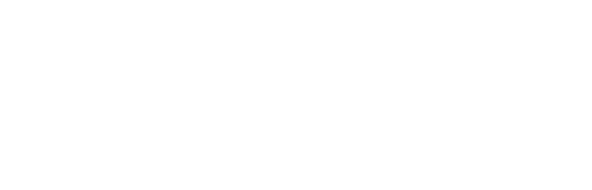 DIMAGI INC logo
