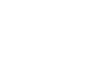 DIMEO PROPERTIES INC logo