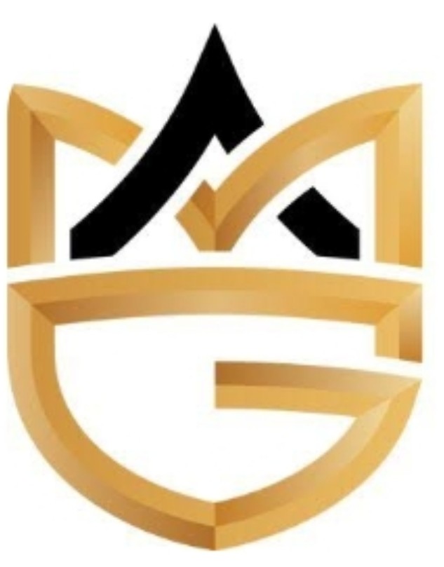 DIRECTLINK LLC logo