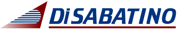 DISABATINO CONSTRUCTION CO INC logo