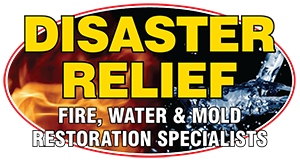 DISASTER RELIEF logo