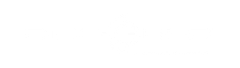 DISC-O-BED LP logo