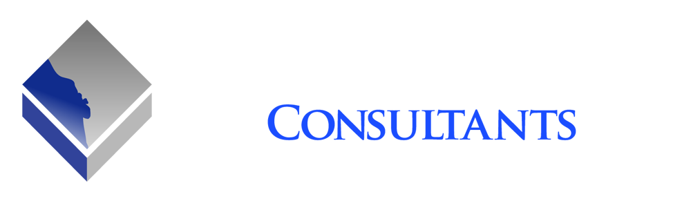 DISTRICT SCHEDULING CONSULTANTS LLC logo