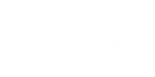 DIVERGENT WEB SOLUTIONS, LLC logo