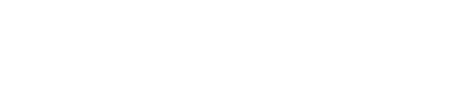 DIVERSE STUDIO PLLC logo