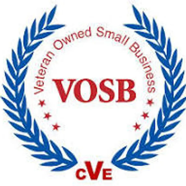 DIVERSE TECHNOLOGY SOLUTIONS LLC logo