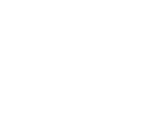 DIVERSICOM CORP RIVERVIEW logo