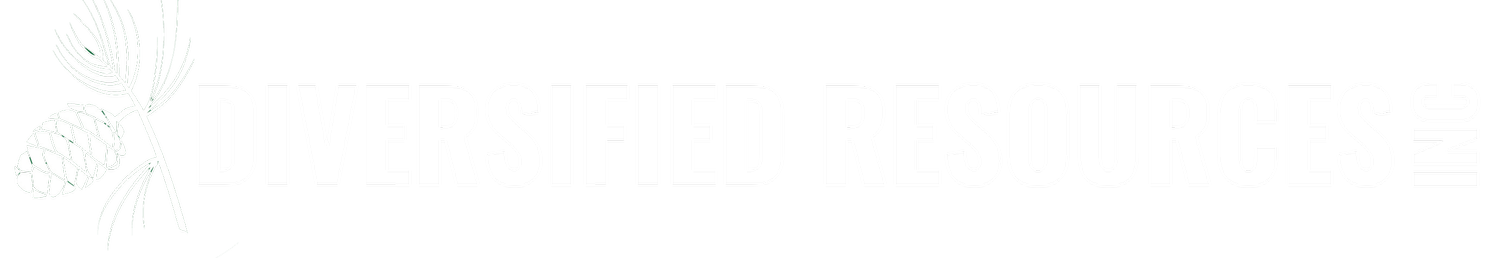 DIVERSIFIED RESOURCES INC logo