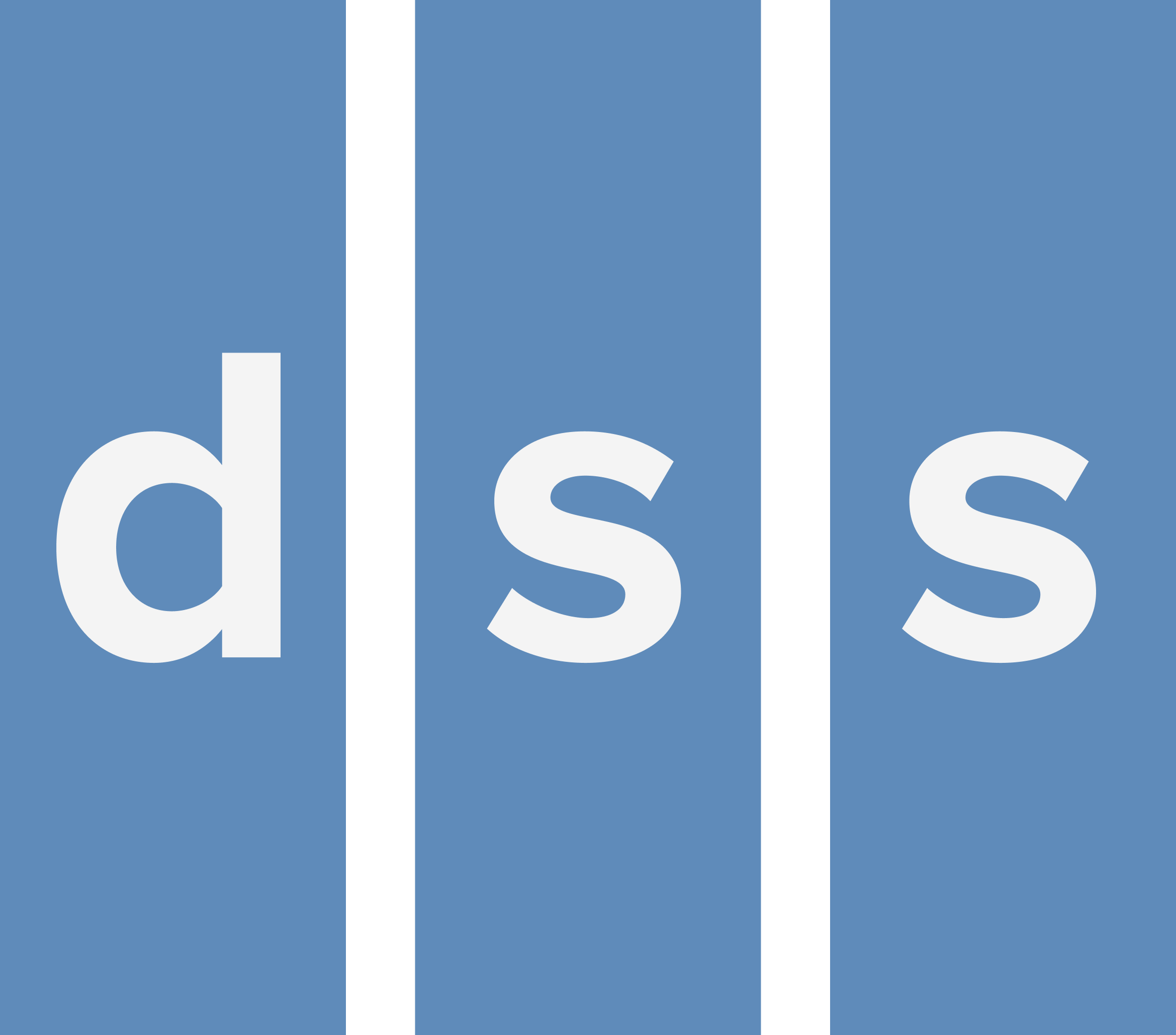 DIVERSIFIED STORAGE SOLUTIONS INC logo