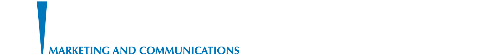 DIVERSITY MARKETING AND COMMUNICATIONS LLC logo