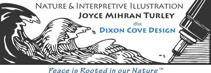 DIXON COVE DESIGN logo