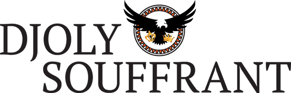 DJOLY SOUFFRANT LLC logo