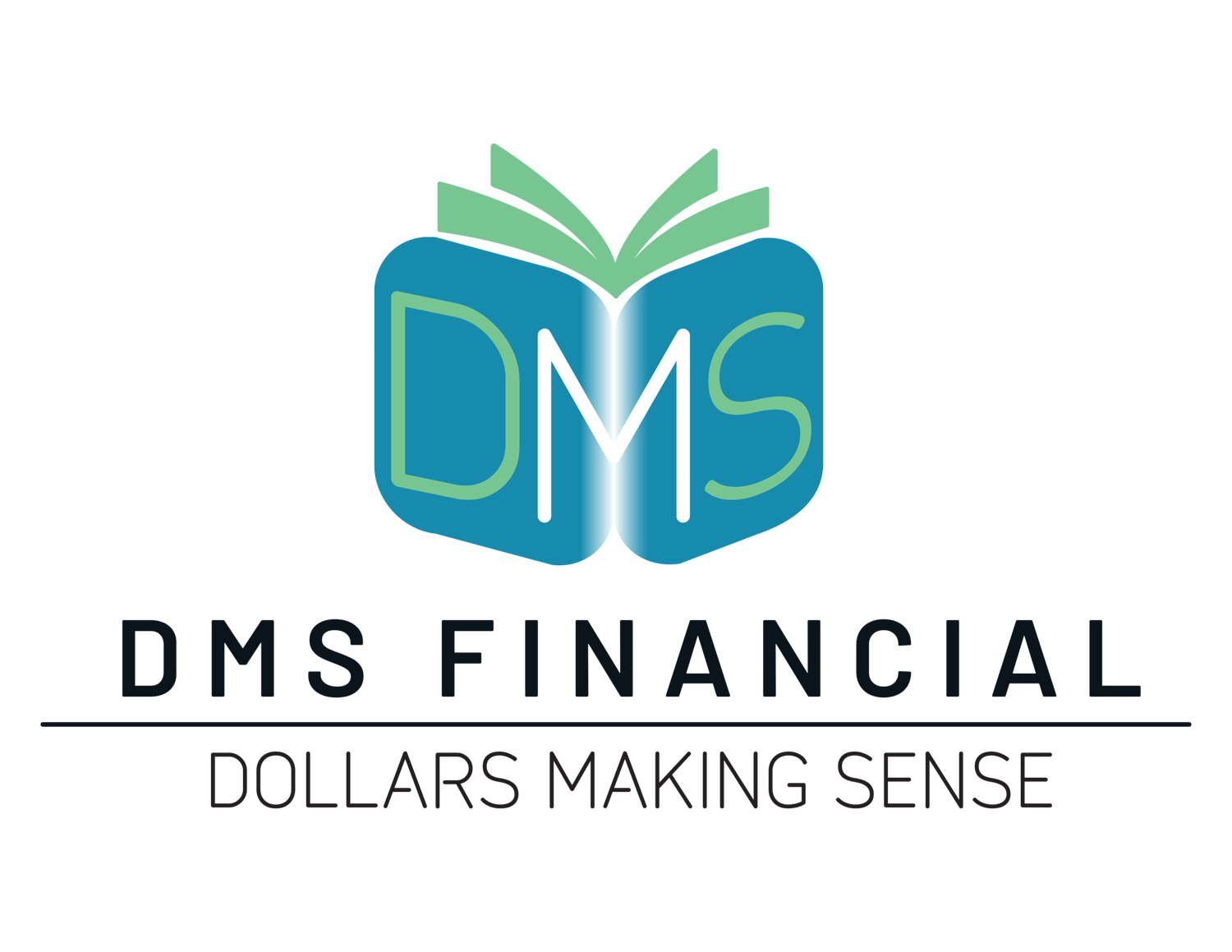 DMS FINANCIAL CONSULTING LLC logo