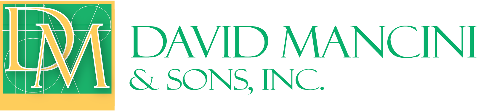 DMSI logo