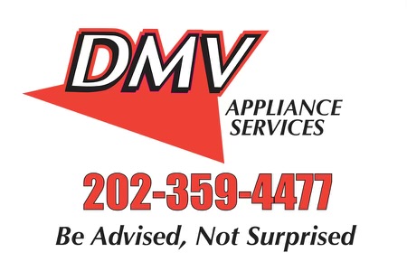 DMV PROFESSIONAL SERVICE LLC logo