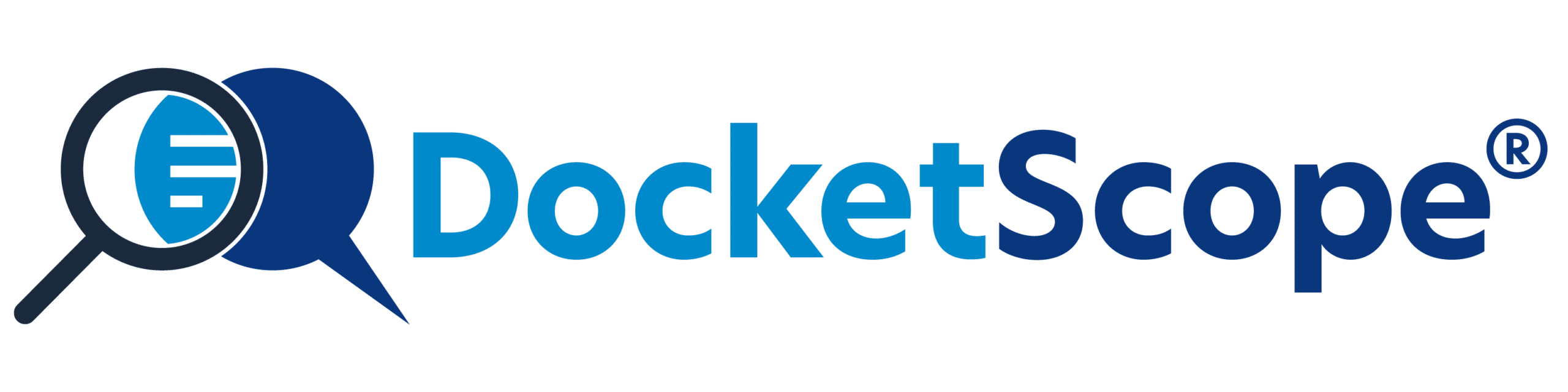 DOCKETSCOPE, INC logo