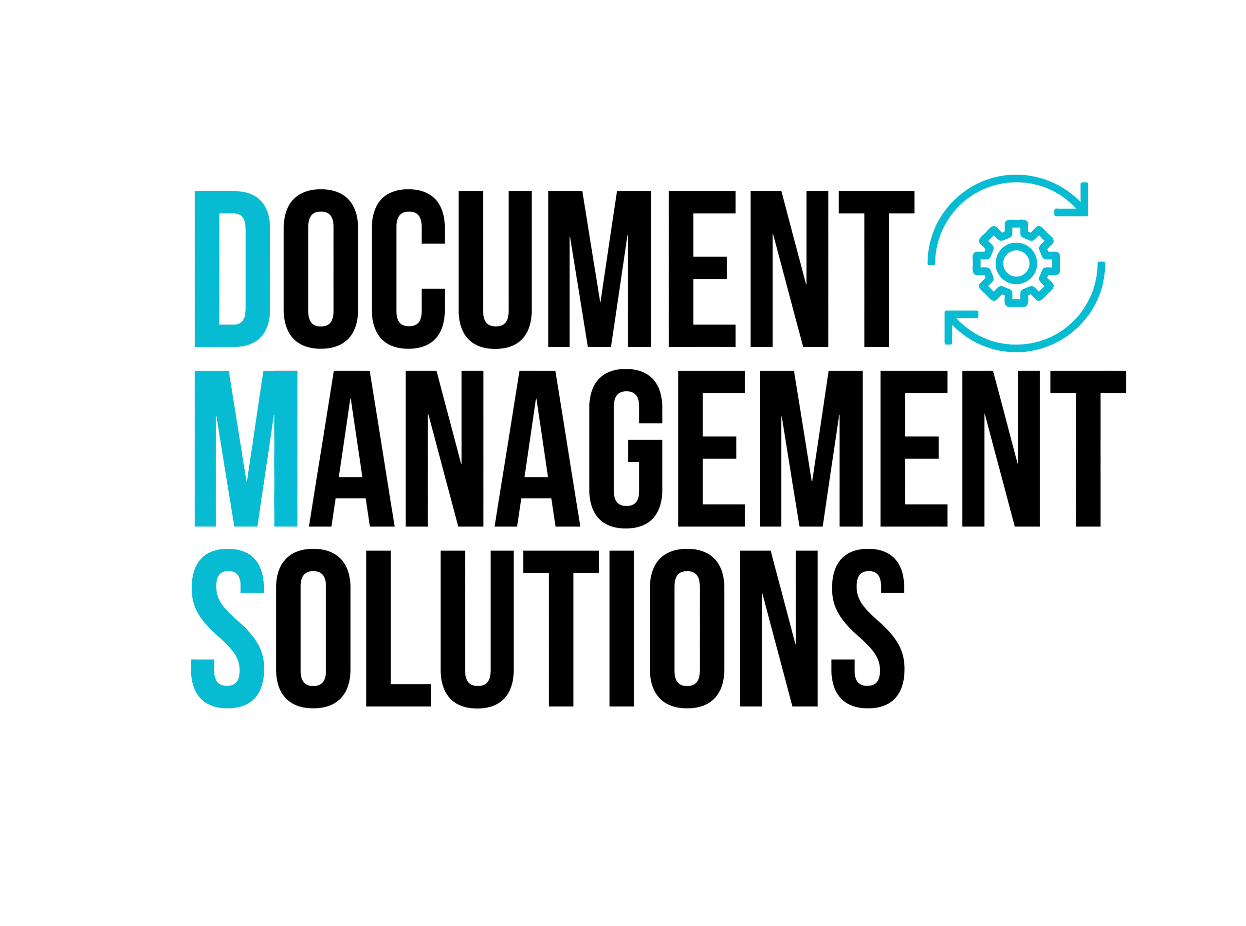 DOCUMENT MANAGEMENT SOLUTIONS logo