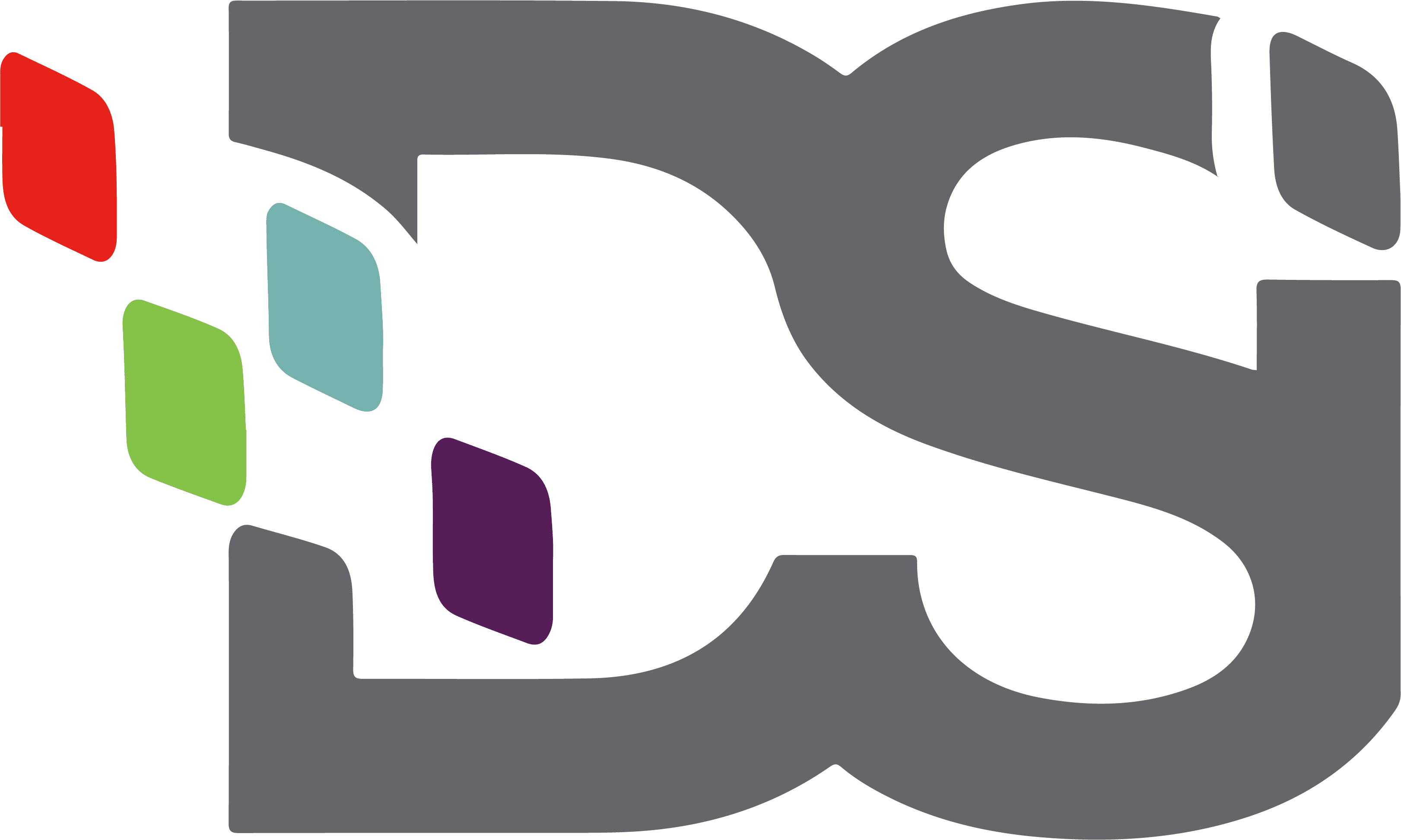 DOCUMENT SOLUTIONS INC logo