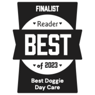 DOGS ON THE RUN, INC. logo