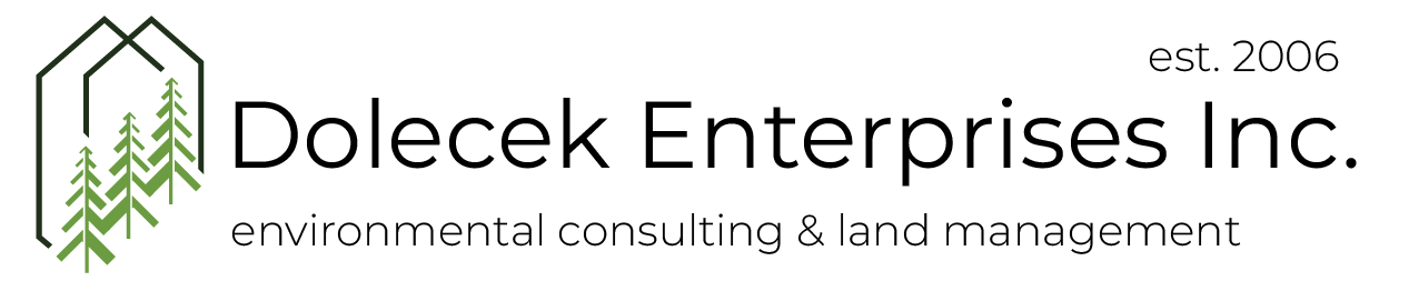 DOLECEK ENTERPRISES INC. logo