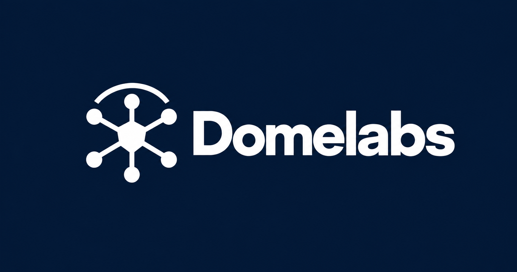 DOMELABS CONSULTING LLC logo