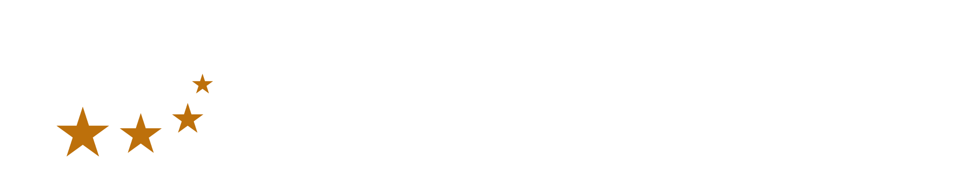 DOMINION FEDERAL SOLUTIONS logo