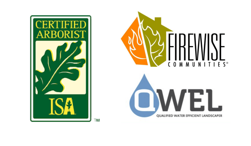 DONE-RITE TREE COMPANY, INC. logo