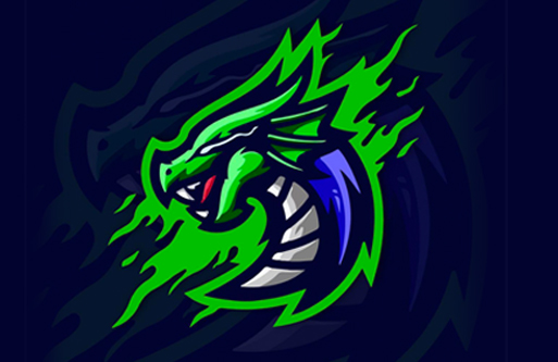 DORAL DIGITAL REPROGRAPHICS CORP logo