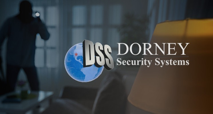 DORNEY SECURITY SYSTEMS INC logo