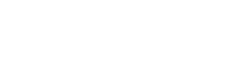 DOTTIR LABS, INC logo