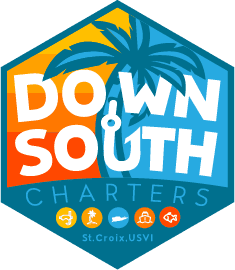 DOWN SOUTH CHARTERS LLC logo