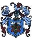 DOWNING STREET FINANCIAL INC logo