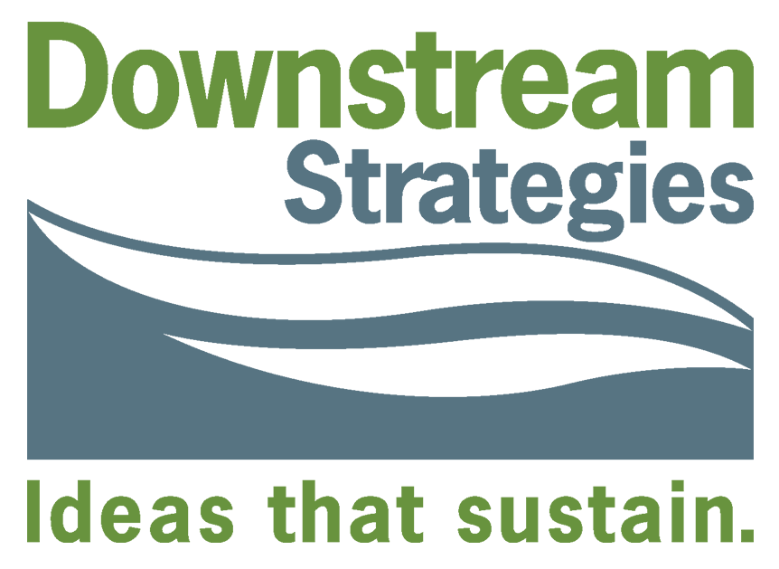 DOWNSTREAM STRATEGIES LLC logo