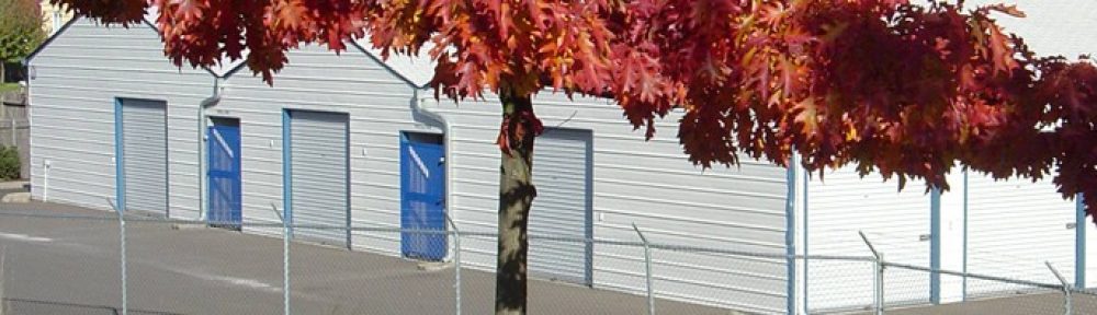 DOWNTOWN MINI-STORAGE LLC logo