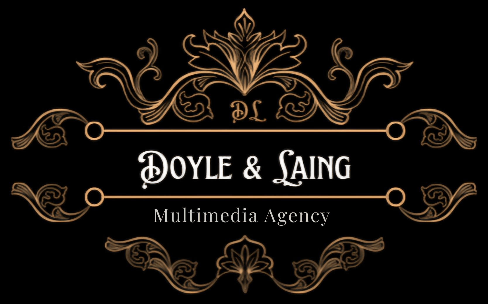 DOYLE & LAING LLC logo