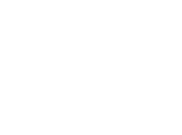 DPF GUYS LLC logo