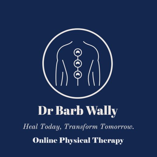DR BARB WALLY LLC logo