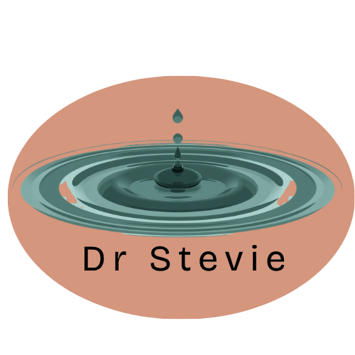 DR STEVIE, LLC logo