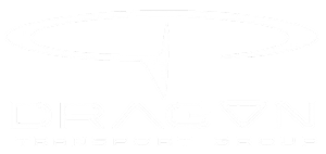 DRAGON TRANSPORT GROUP LTD logo
