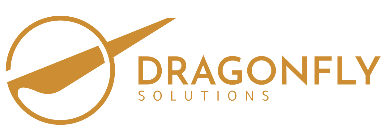 DRAGONFLY SOLUTIONS, LLC logo