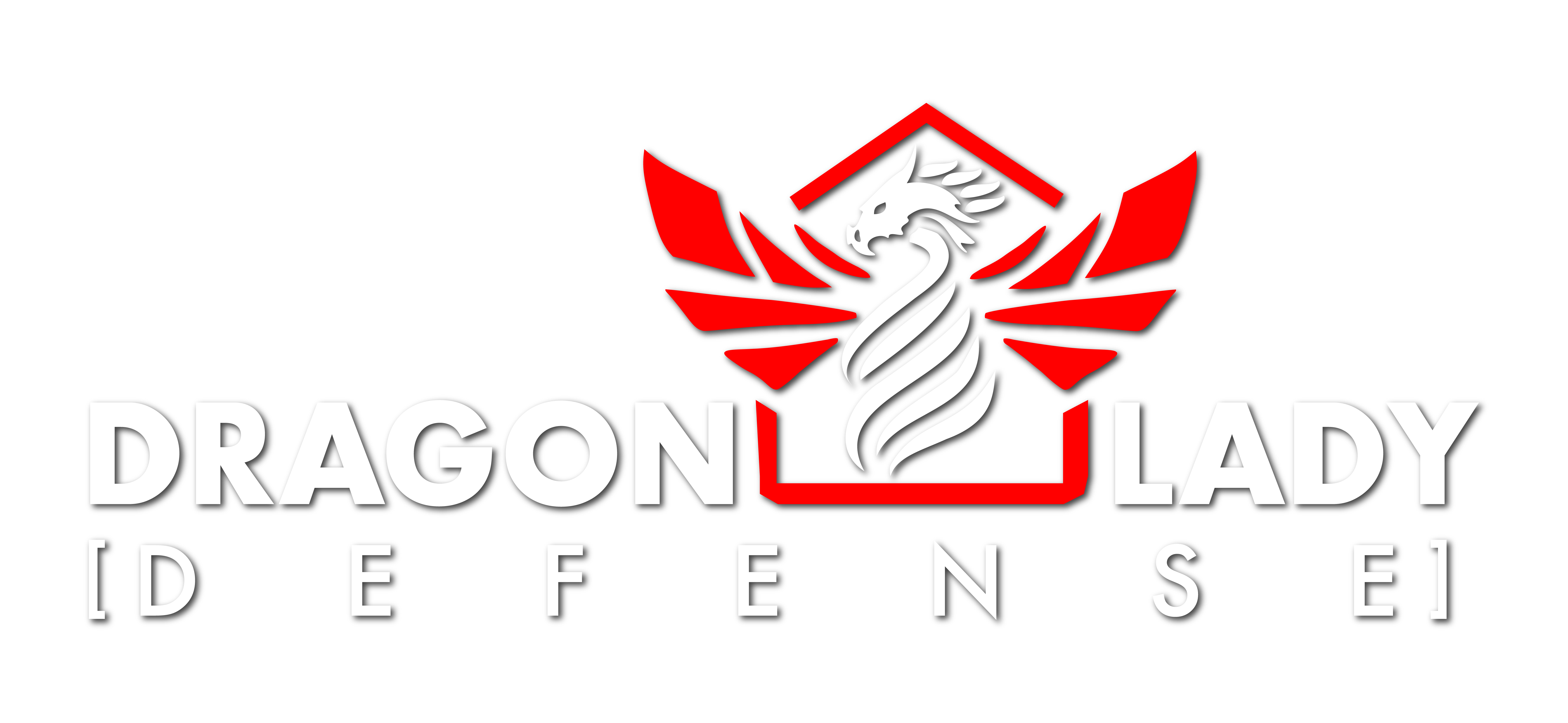 DRAGONLADY DEFENSE, LLC logo