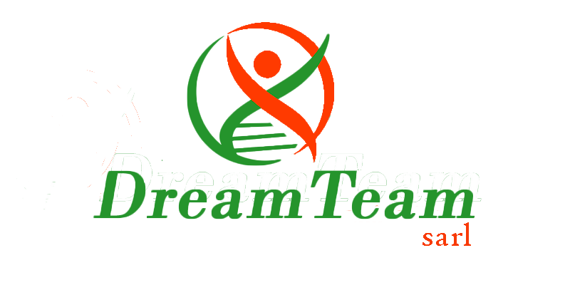 DREAM TEAM INTERNATIONAL logo