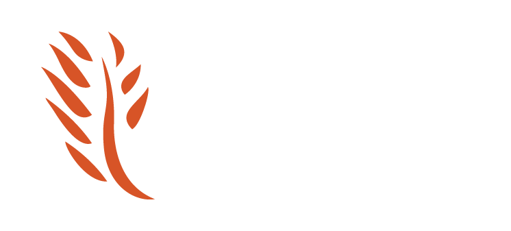 DREYFUS ADVISORS LLC logo