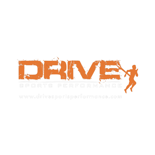 DRIVE SPORTS PERFORMANCE, LLC logo