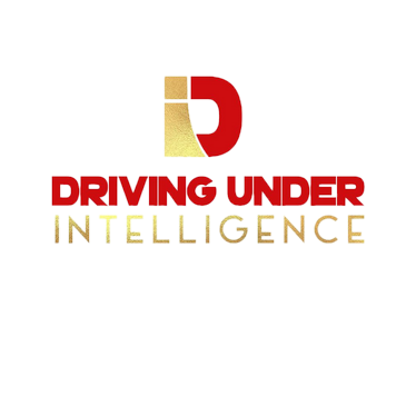 DRIVING UNDER INTELLIGENCE DUI & DEFENSIVE DRIVING SCHOOL LLC. logo