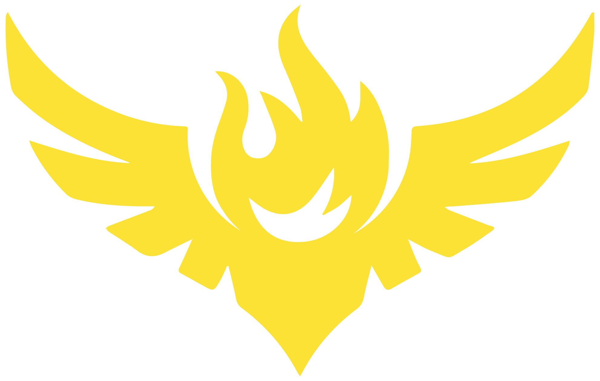 DRONE AMPLIFIED logo