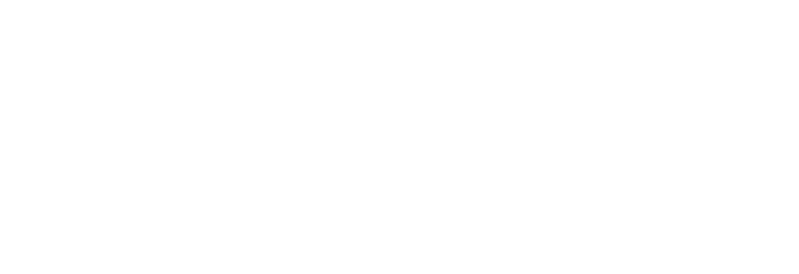 DRONE ROUND, LLC logo