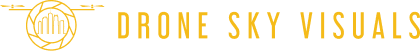 DRONE SKY VISUALS LLC logo